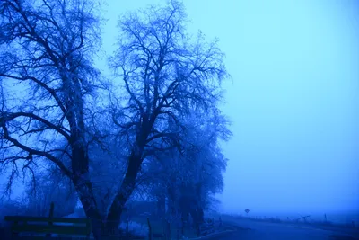 DSC_1069 (Large).JPG